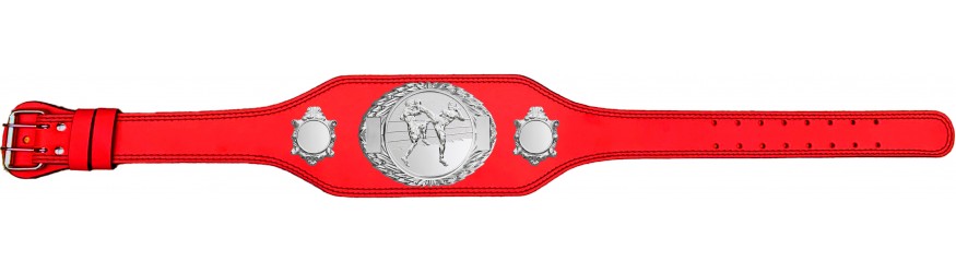 THAI BOXING CHAMPIONSHIP BELT-BUD295/S/TBOS-4 COLOURS